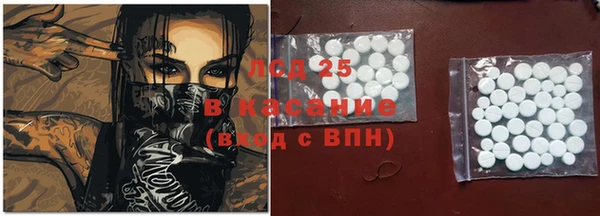 стафф Заводоуковск