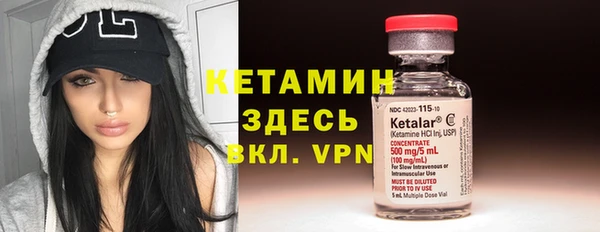 стафф Заводоуковск