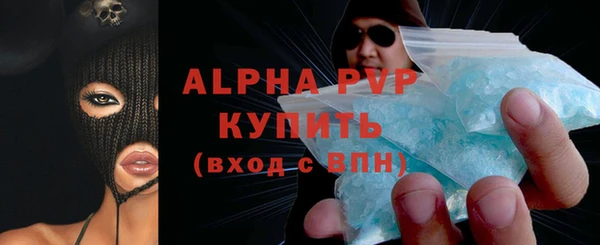 стафф Заводоуковск