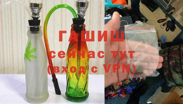 стафф Заводоуковск