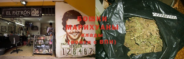 стафф Заводоуковск