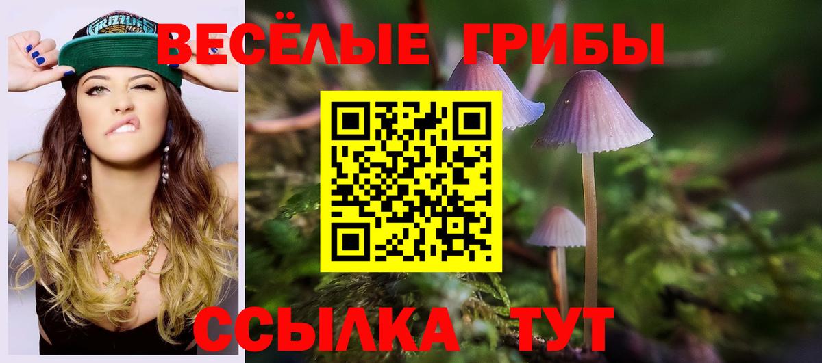 Галлюциногенные грибы GOLDEN TEACHER Слободской